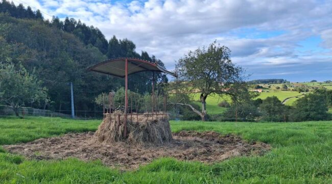 El Regueral aspira a Pueblo Ejemplar de Asturias 2026
