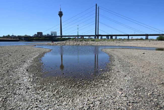 El impacto de la sequía del río Rin