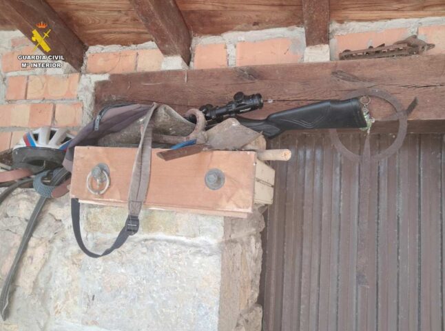 Investigan en Llanes un presunto delito de maltrato animal