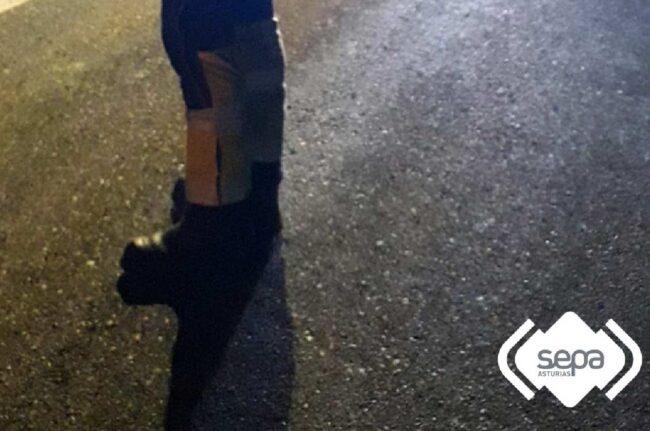 Dos fallecidos en un accidente en Degaña